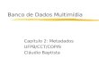 Banco de Dados Multimídia Capítulo 2: Metadados UFPB/CCT/COPIN Cláudio Baptista