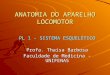 ANATOMIA DO APARELHO LOCOMOTOR PL 1 - SISTEMA ESQUELÉTICO Profa. Thaisa Barbosa Faculdade de Medicina - UNIFENAS