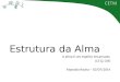 Estrutura da Alma A alma é um espírito encarnado. (LE Q.134) Atanásio Rocha – 03/07/2014