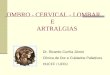OMBRO - CERVICAL - LOMBAR E ARTRALGIAS Dr. Ricardo Cunha Júnior Clinica de Dor e Cuidados Paliativos HUCFF / UFRJ