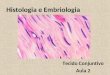Histologia e Embriologia Tecido Conjuntivo Aula 2