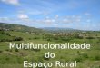 Multifuncionalidade do Espaço Rural. Segundo a OCDE, as NUT III são: Predominantemente rurais – se mais 50% da população reside em freguesias com menos