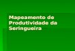 Mapeamento de Produtividade da Seringueira. Serigueira (Hevea brasiliensis) Hevea brasiliensisHevea brasiliensis  originária da região amazônica do Brasil