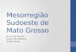 Mesorregião Sudoeste de Mato Grosso Bruna dos Santos Evelyn Isis Barbosa Emille Gomes