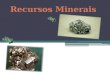 O que são recursos minerais?;  Como se classificam os recursos minerais?;  O que um jazigo mineral?;  Tipos de recursos minerais;  Bibliografia;