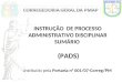 INSTRUÇÃO DE PROCESSO ADMINISTRATIVO DISCIPLINAR SUMÁRIO (PADS) Instituído pela Portaria n° 001/07-Correg/PM