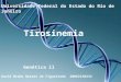 Tirosinemia David Brahe Nasser de Figueiredo 20062130232 Genética ll Universidade Federal do Estado do Rio de Janeiro