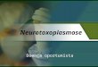 Neurotoxoplasmose Doença oportunista. Relembrando Toxoplasmose: Doença que cursa de forma assintomática, surge como uma síndrome febril aguda, acompanhada