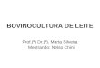 Prof.(ª) Dr.(ª). Marta Silveira Mestrando: Nelso Chini BOVINOCULTURA DE LEITE