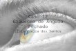 Caso 12 Glaucoma de Ângulo Fechado Lívia Vieira dos Santos