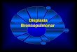 Displasia Broncopulmonar. Introdução  DBP: doença pulmonar crônica mais freqüente em RNPT - BARTON, HODGMAN, PAVLOVA,1999 BARTON, HODGMAN, PAVLOVA,1999