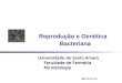 @professor_leo Reprodução e Genética Bacteriana Universidade de Santo Amaro Faculdade de Farmácia Microbiologia