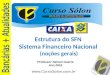 Www.CursoSolon.com.br Professor Nelson Guerra Ano 2015 Estrutura do SFN Sistema Financeiro Nacional (noções gerais)