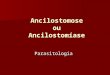 Ancilostomose ou Ancilostomíase Parasitologia. Classe: Nematoda Família: Ancylostosmatidae (boca curva) A. duodenale (longevidade média de 5 anos a 18