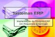 Sistemas ERP Implantação de Sistema ERP em Pequenas Empresas