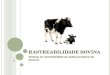 R ASTREABILIDADE BOVINA Sistema de rastreabilidade da cadeia produtiva de bovinos