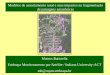 Modelos de assentamento rural e seus impactos na fragmentação de paisagens amazônicas Mateus Batistella Embrapa Monitoramento por Satélite / Indiana University-ACT