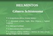 HELMINTOS Gênero Schistosoma  S. hematobium (África, Oriente Médio).  S. japonicum (China, Japão, Ilhas Filipinas e Sudeste Asiático).  S. mekongi (Camboja)