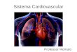 Sistema Cardiovascular Professor Romulo. Circulação nos Vertebrados Diferenças anatômicas e fisiológicas entre artérias, capilares e veias