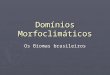 Domínios Morfoclimáticos Os Biomas brasileiros. Os Biomas