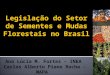 Legislação do Setor de Sementes e Mudas Florestais no Brasil Ana Lúcia M. Fortes – INEA Carlos Alberto Piano Rocha - MAPA