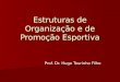 Estruturas de Organização e de Promoção Esportiva Prof. Dr. Hugo Tourinho Filho