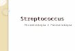 Streptococcus Microbiologia e Parasitologia. Classificação microbiológica: ◦ Reino: Monera ◦ Filo: Firmicutis ◦ Classe: Bacilli ◦ Ordem: Lactobacillales