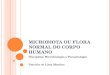 MICROBIOTA OU FLORA NORMAL DO CORPO HUMANO Disciplina: Microbiologia e Parasitologia Patrícia de Lima Martins
