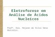 Eletroforese em Análise de Ácidos Nucleicos Prof a. Dra. Rejane da Silva Sena Barcelos