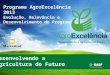 Programa AgroExcelência 2013 Evolução, Relevância e Desenvolvimento do Programa Desenvolvendo a Agricultura do Futuro 1