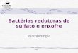 Bactérias redutoras de sulfato e enxofre Microbiologia Belo Horizonte 2009