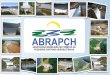 A ABRAPCH está implantando alguns projetos de melhorias. Um destes projetos, corresponde ao patrocínio do site () - Por que patrocinar
