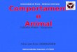 Comportamento Animal Ano Lectivo 2008/2009 Sabrina Mendes Guerreiro, nº 23010 Universidade de Évora – Medicina Veterinária Trabalho Prático - Etograma