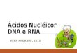 cidos Nucl©icos â€“ DNA e RNA VERA ANDRADE, 2015. Ncleo Envolt³rio nuclear Nucl©olo Cromatina Poro (complexo)