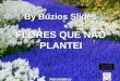 By Búzios Slides FLORES QUE NÃO PLANTEI Automático