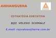 ANHANGUERA ESTRATÉGIA EXECUTIVA ROY VELOSO SCHMALZ E.mail: royveloso@terra.com.br