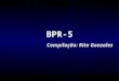 BPR-5 Compilação: Rita Gonzales BPR-5  Histórico A Bateria de Provas de Raciocínio – BPR-5 foi criada por Leandro Almeida e Ricardo Primi (1998) Originou-se