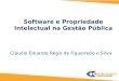 Software e Propriedade Intelectual na Gestão Pública Cláudio Eduardo Régis de Figueiredo e Silva