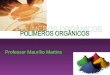 POLÍMEROS Professor Maurílio Martins. DEFINIÇÃO POLY = MUITOS MEROS = PARTES Divisão: polímeros naturais e sintéticos
