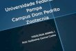 Universidade Federal do Pampa Campus Dom Pedrito Zootecnia FISIOLOGIA ANIMAL I Prof. Guilherme Garcez Cunha