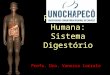 Fisiologia Humana: Sistema Digestório Profa. Dra. Vanessa Corralo