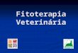 Fitoterapia Veterinária CONCEITO: FITO = Plantas com propriedades medicinais; TERAPIA = Tratamento Terapêutica caracterizada pelo uso de plantas medicinais