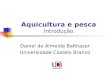 Aquicultura e pesca Introdução Daniel de Almeida Balthazar Universidade Castelo Branco