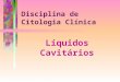 Líquidos Cavitários Disciplina de Citologia Clínica