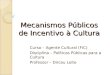Mecanismos Públicos de Incentivo à Cultura Curso – Agente Cultural (FIC) Disciplina – Políticas Públicas para a Cultura Professor – Dirceu Leite