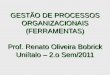 GESTÃO DE PROCESSOS ORGANIZACIONAIS (FERRAMENTAS) Prof. Renato Oliveira Bobrick Uniítalo – 2.o Sem/2011