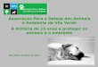 Associação Para a Defesa dos Animais e Ambiente de Vila Verde A História de 15 anos a proteger os animais e o ambiente Vila Verde, Outubro de 2013