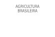 AGRICULTURA BRASILEIRA. CONTEXTO Transformação paralela à modernização industrial Complexos rurais agroexportadores > complexos agroindustriais Modernização