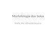 Morfofologia dos Solos Profa. Ms. Aline de Aquino