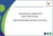 DESENVOLVIMENTO SUSTENTÁVEL RESPONSABILIDADE SOCIAL IV Seminário Nacional de APLs de Base Mineral